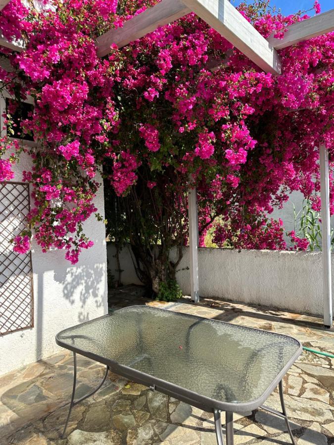 Villa Pinelopi Kalamata Extérieur photo