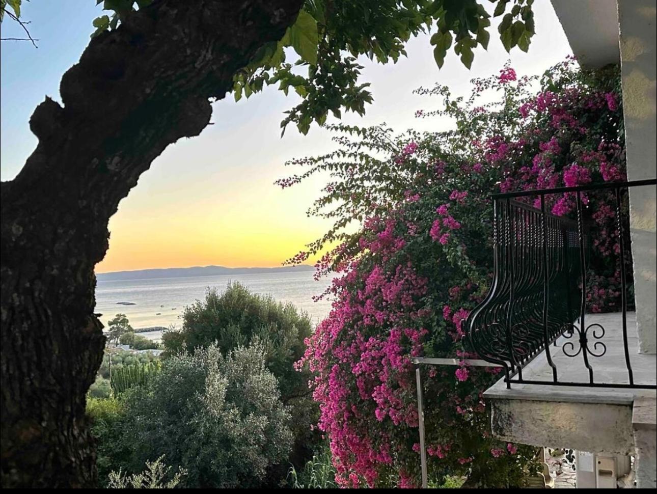 Villa Pinelopi Kalamata Extérieur photo